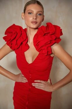 Monica Dress -Alamour The Label Shop 20 1ba6fe30 b42e 46c8 a624 3ca51def9e22