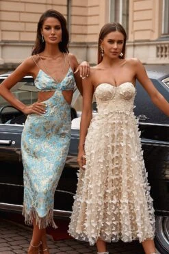 Lena Dress 25 Lena Dress -Alamour The Label Shop 32 f0ccf403 f538 400c b55e 0f6eba79a486