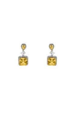 Remi Amber Embellished Earrings