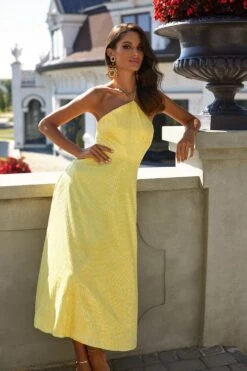 Colette Dress 12 Colette Dress -Alamour The Label Shop 59 c713b4ea cf55 442b a34b b767e7bc4429