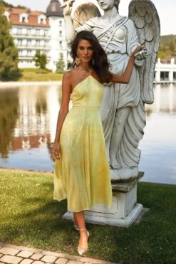 Colette Dress 13 Colette Dress -Alamour The Label Shop 62 54753fca 2f00 4c1d 9633 c88550646a03