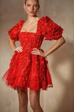 Coraline Dress 27 Coraline Dress -Alamour The Label Shop 7 b199556e 0e6f 49b1 a1c7 3e1735ca9f51